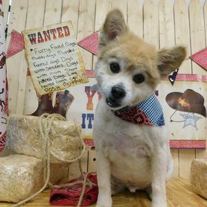 Meet your Posher, Christa